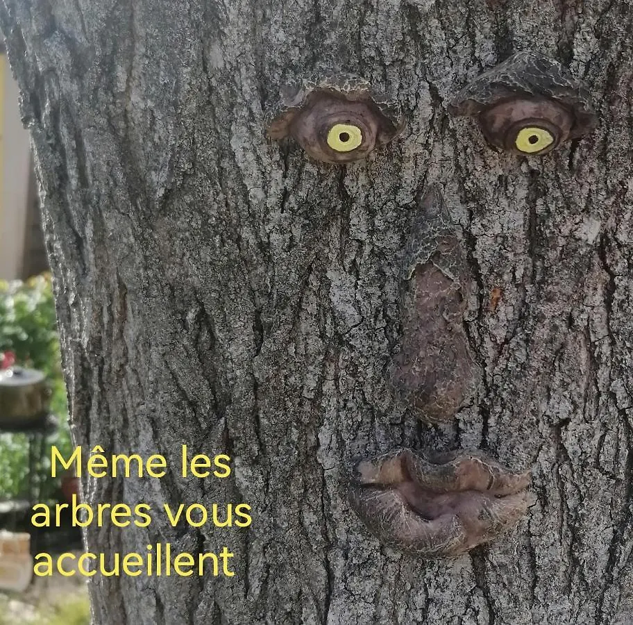 Robion en Luberon La Fee Viviane Et Michel L'Enchanteur צרפת