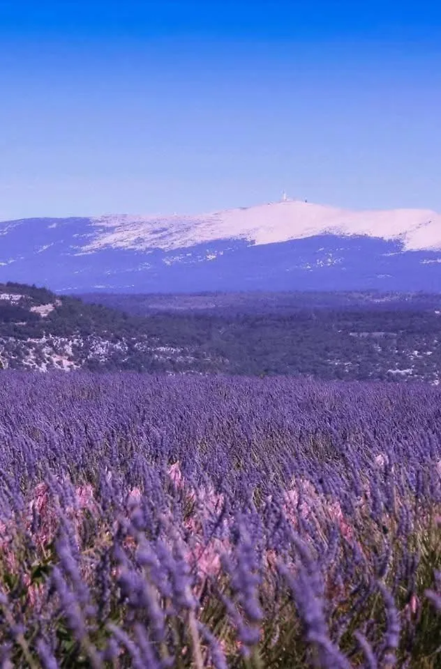 La Fee Viviane Et Michel L'Enchanteur Robion en Luberon Frühstückspension